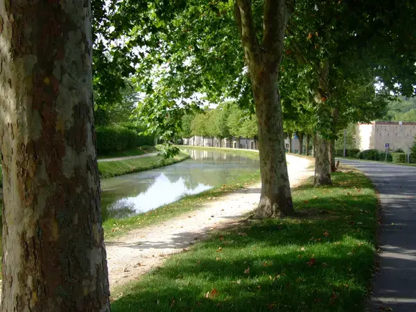 Abri Piscine Sans Rail Constructeur abri de piscine Saint-Amand-Montrond